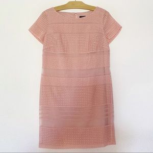 ANN TAYLOR Pink Dress 4P